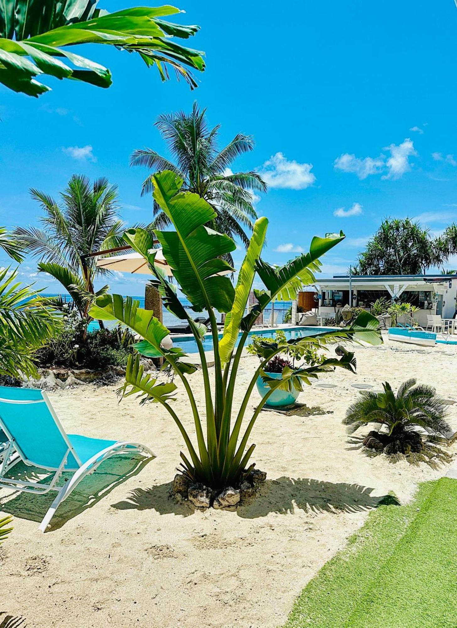 Pension Irivai Appartement Puatou 1 Chambre Bord De Mer Uturoa Buitenkant foto